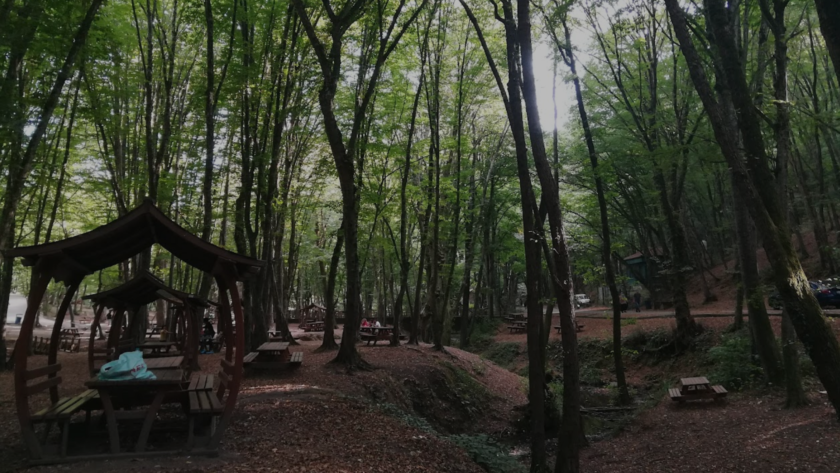 Mitolojik Hikayeler İstanbul Belgrad Ormanı