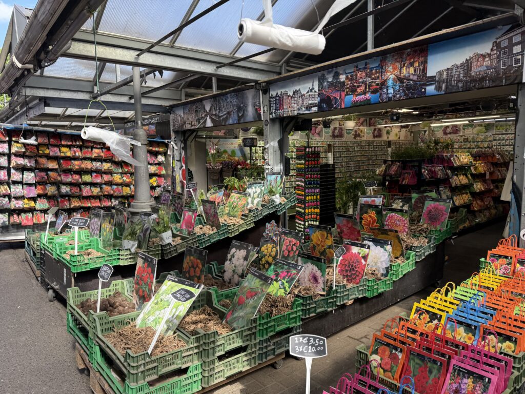 Amsterdam Gezi Rehberi - Bloemenmarkt Çiçek Pazarı