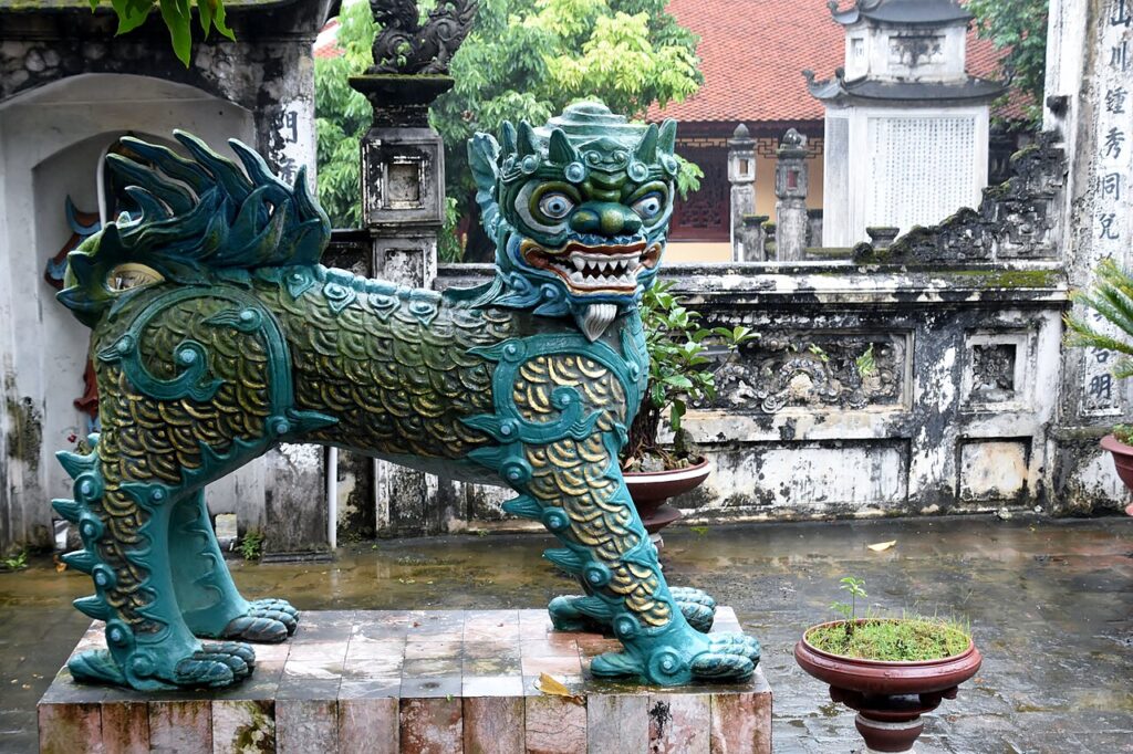 Ortak Şamanist Olgular